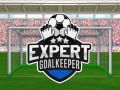 Spiel Experte/r Torwart Online