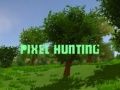 Spiel Pixeljagd Online Spiel Pixeljagd Online