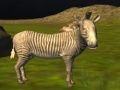 Spiel Echte Dschungeltiere Jagd Online