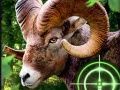Spiel Verrückter Ziegenjäger 2020 Online