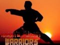 Spiel Karate Sonnenuntergang Krieger Online