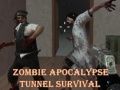 Spiel Überleben im Zombie-Apokalypse-Tunnel Online