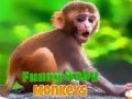 Spiel Lustiger Babymonkey Online Spiel Lustiger Babymonkey Online