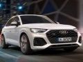 Spiel Audi SQ5 TDI Rutsch Online