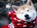 Spiel Winter Haustiere Puzzle Online Spiel Winter Haustiere Puzzle Online