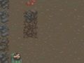 Spiel Das Überleben Online