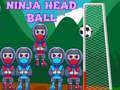 Spiel Ninja Kopf Ball Online