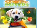 Spiel Finde und Unterschiede Online
