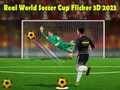 Spiel Echter Weltmeisterschaft Fußball Flicker 3D 2023 Online Spiel Echter Weltmeisterschaft Fußball Flicker 3D 2023 Online