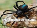Spiel Spinne: Finde den Unterschied Online Spiel Spinne: Finde den Unterschied Online