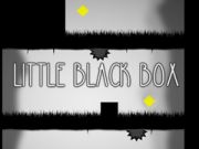 Spiel Kleine schwarze Box Online