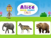 Spiel Welt der Tiergeräusche von Alice Online