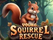 Spiel Rettung junger Eichhörnchen Online