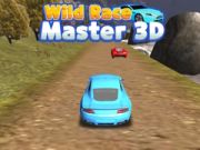Spiel Wilder Rennmeister 3D Online