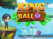 Spiel König des Balls Online