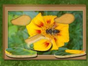 Spiel Finden & wiederherstellen: verstecktes Puzzle Online