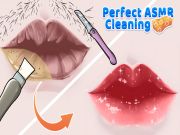 Spiel Perfekte ASMR -Reinigung Online