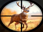 Spiel Wilder Jagdkampf Online