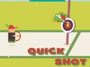 Spiel Schneller Schuss Online