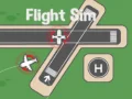 Spiel Flugsimulator Online