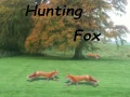 Spiel Fuchsjagd Online