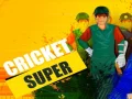 Spiel Super Cricket Online Spiel Super Cricket Online