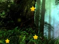Spiel Verborgene Sterne Online