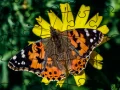Spiel Puzzle: Frühling Online