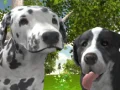 Spiel Hundesimulator 3D Online