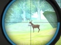Spiel Jägertraining Online