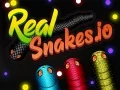 Spiel Echte Schlangen.io Online