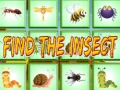 Spiel Finde Das Insekt Online