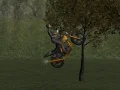 Spiel Mountainbike-Fahrer Online