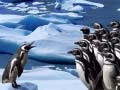 Spiel Pinguine Rutschen Online