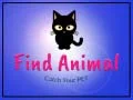 Spiel Tier finden Online