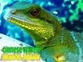 Spiel Chinesischer Wasserdrachen-Puzzle Online