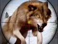Spiel Wilder Tierjagd Online