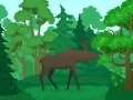 Spiel Wildtiere Ausmalen Online