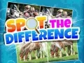 Spiel Finde die Unterschiede Online