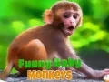 Spiel Lustiger Babymonkey Online