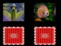Spiel Fischgedächtnis Online