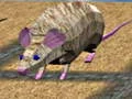 Spiel Mausrennen Inseln Online