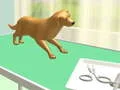 Spiel Pfotenpflege Online