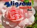 Spiel Puzzle-Meister Pro Online