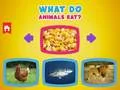 Spiel Was fressen Tiere? Online