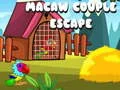 Spiel Flucht des Arar-Paares Online