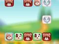 Spiel Tierverbindung Online