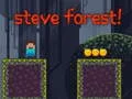 Spiel Steve-Wald Online