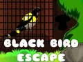 Spiel Schwarzer Vogel Flucht Online