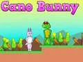 Spiel Cano Hase Online